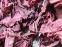 Dulse - Whole Leaf