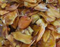 Jack Fruit