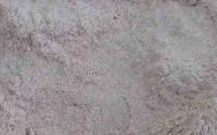 Lucuma Powder