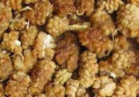 Mulberries