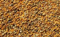 Bee Pollen - Dried