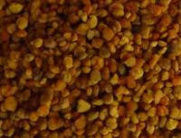 Bee Pollen - Fresh