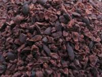 Cacao Nibs